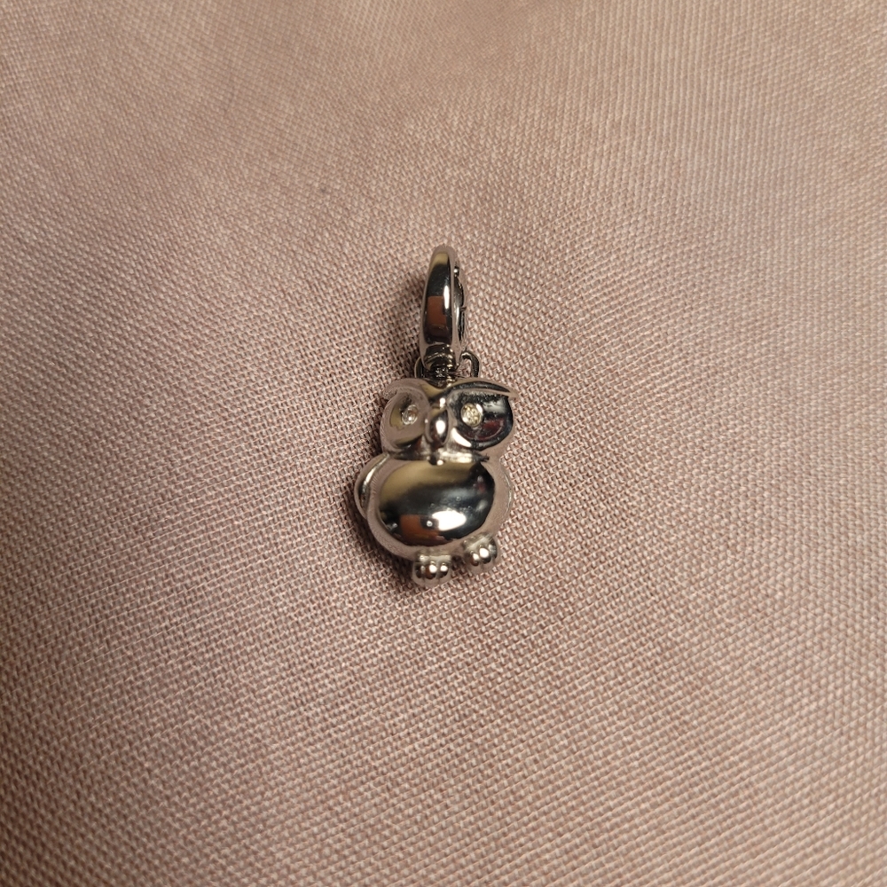 Fossil owl charm